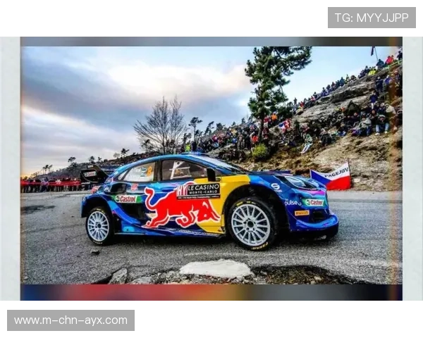 赛场外的趣味：WRC车迷文化及特色活动，wrc 车